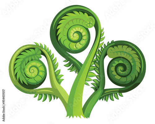 Fiddleheads vector illustration isolated on white background photo