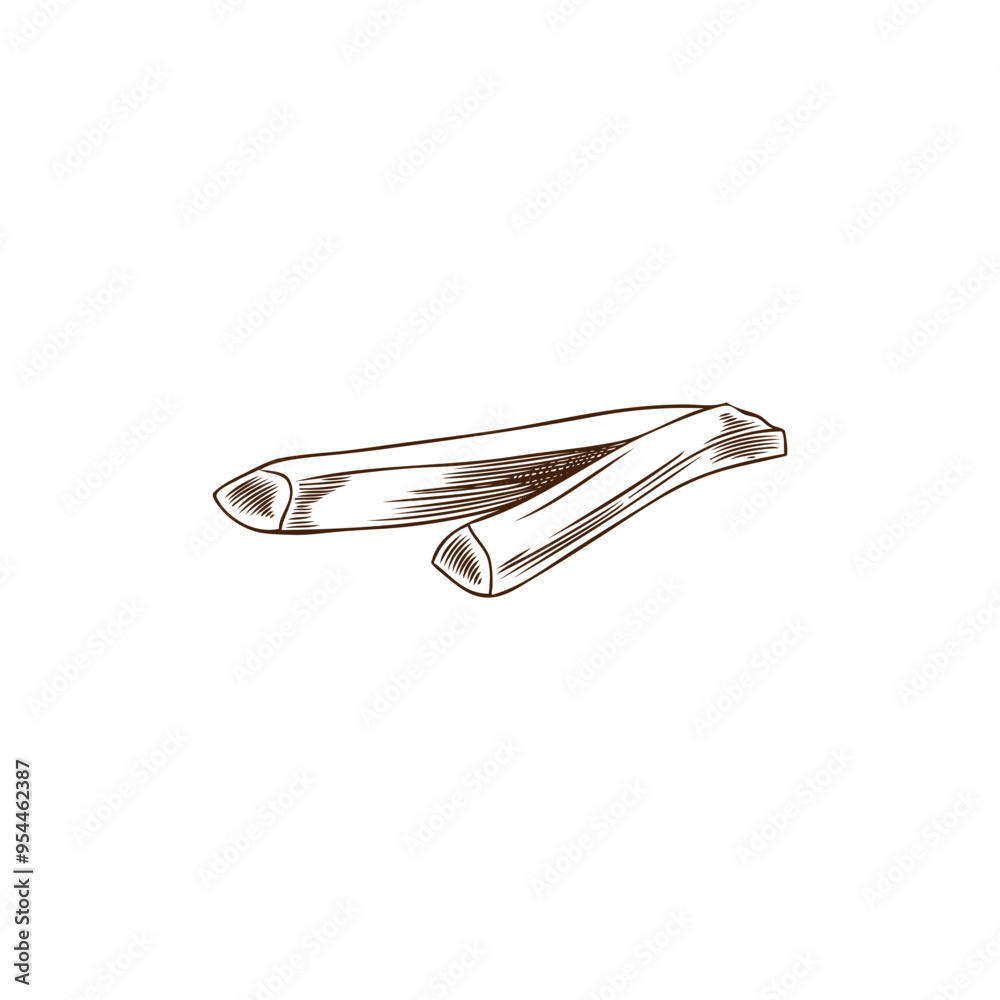 Vector illustration of sweet potatoes cut into strips. Isolated background. Vector illustration of sweet potatoes cut into strips. Isolated background.