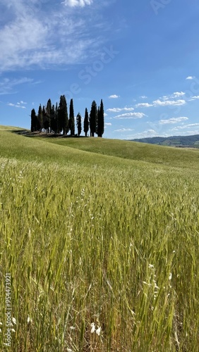 landscape of region