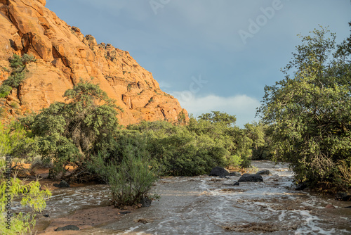 Water Flooding Snow Canyon Red Rocks photo