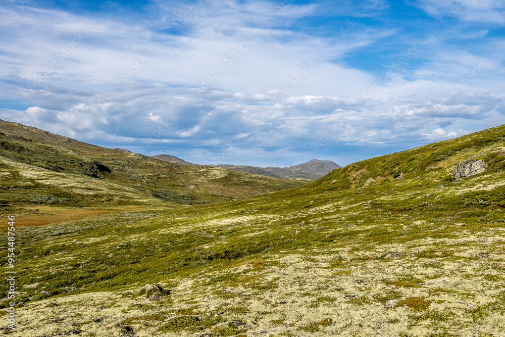 Late summer landscape in the Dovrefjell region, Norway Late summer landscape in the Dovrefjell region, Norway