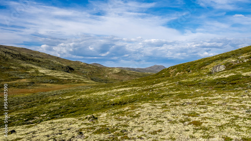 Late summer landscape in the Dovrefjell region, Norway