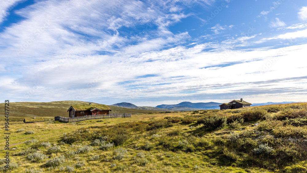 Obraz premium Norwegian landscape with traditional old houses, Dovrefjell area