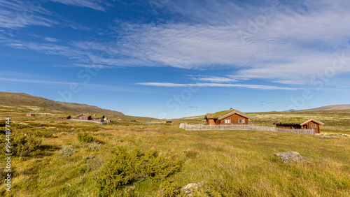 Old traditional wooden houses with green roofs, Dovrefjell, Norway 