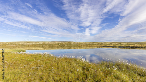 Fototapeta Naklejka Na Ścianę i Meble -  Late summer landscape in the Dovrefjell region, Norway