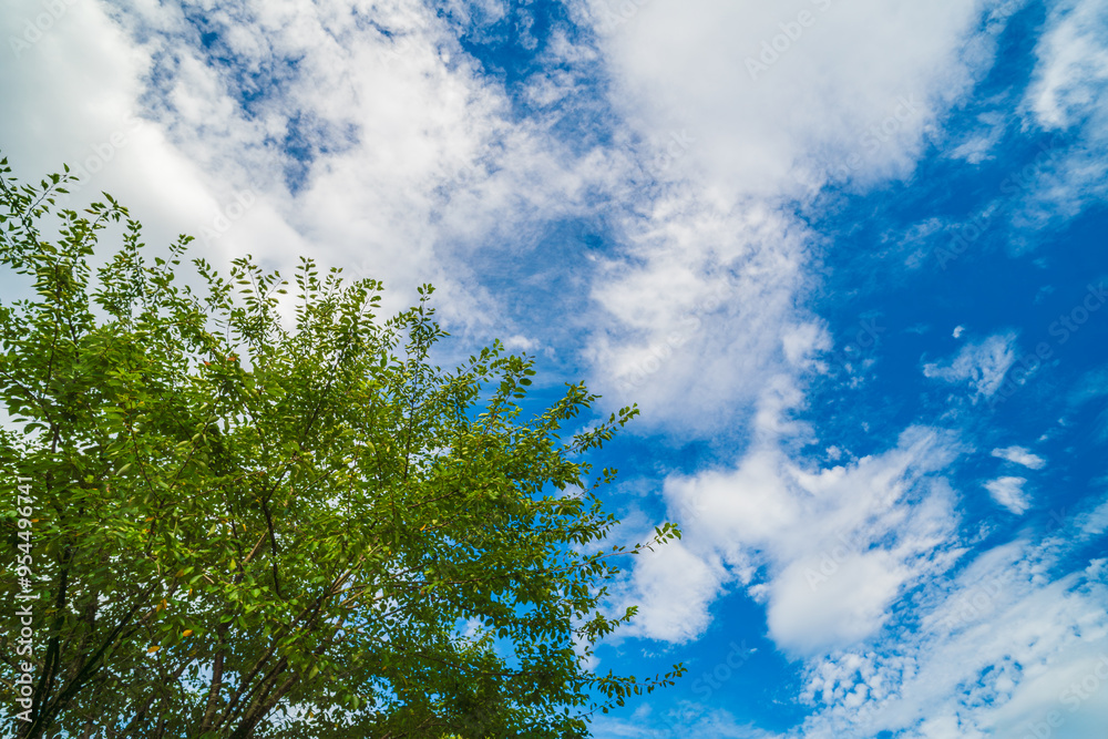 Fototapeta premium 雲間に見る青空