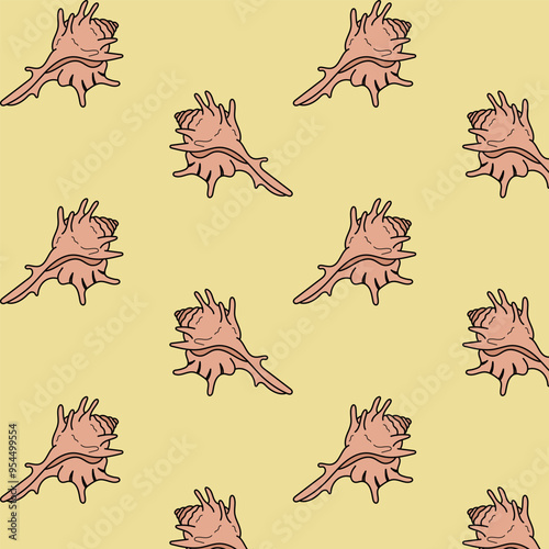 The pattern is special seashells clams
