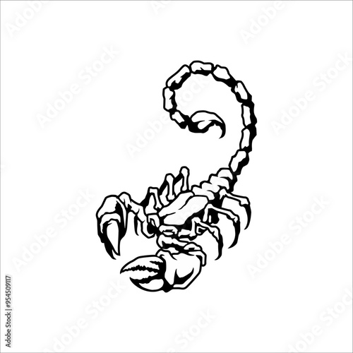 Scorpion animal on white background