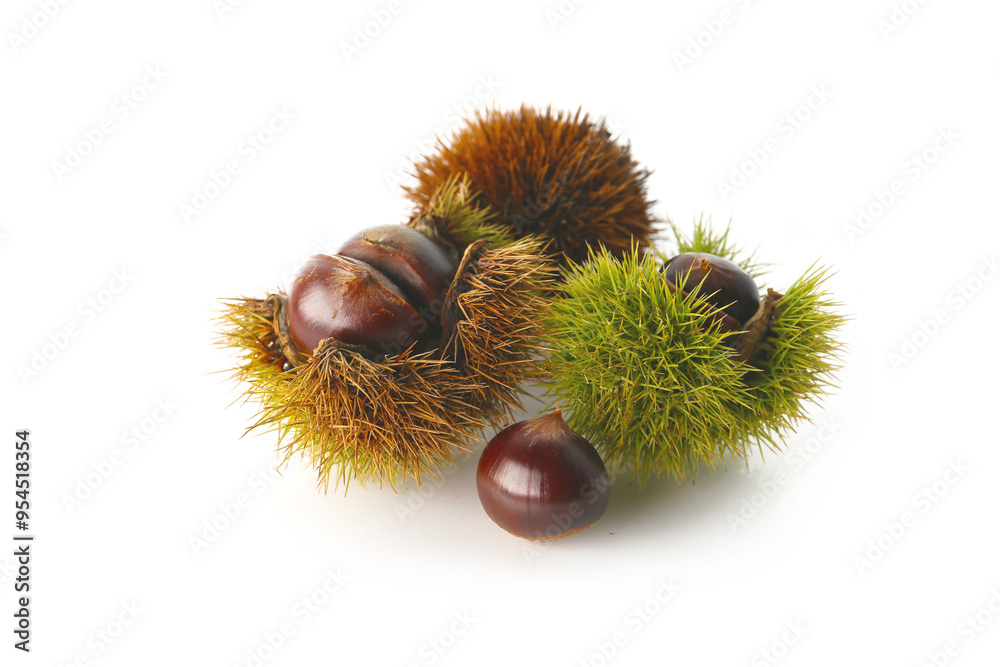 raw japanese chestnut with shell and leaf isolated on a white background raw japanese chestnut with shell and leaf isolated on a white background
