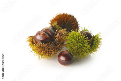 raw japanese chestnut with shell and leaf isolated on a white background