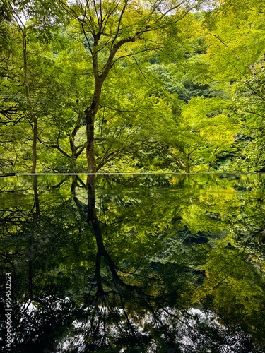 Japanese garden view with reflection and flowers, in Arashiyama Kyoto, Japan