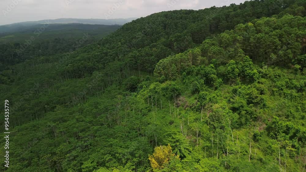 Aerial drone view of hills with lush forests and trees Aerial drone view of hills with lush forests and trees