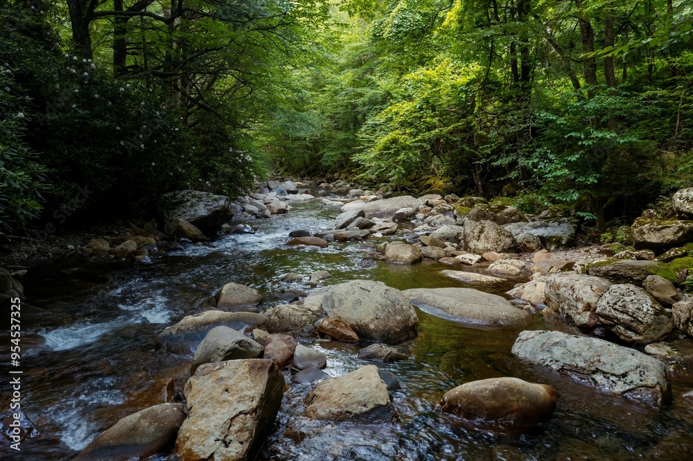 River with boulders and forest in the Great Smoky Mountains National Park, Tennessee, United States Of America. River with boulders and forest in the Great Smoky Mountains National Park, Tennessee, United States Of America.