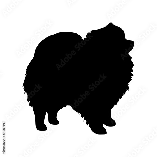 Pomeranian stands in profile, vector image, icon, flat, black on a white background.