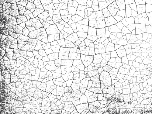 dry land old texture vector design