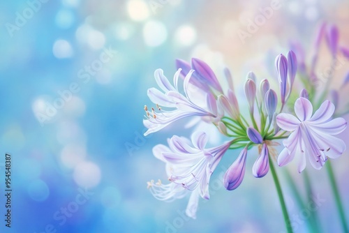Delicate Purple Flowers with Blurred Background