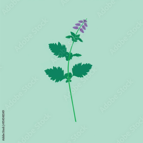 Illustrated mint plant with leaves