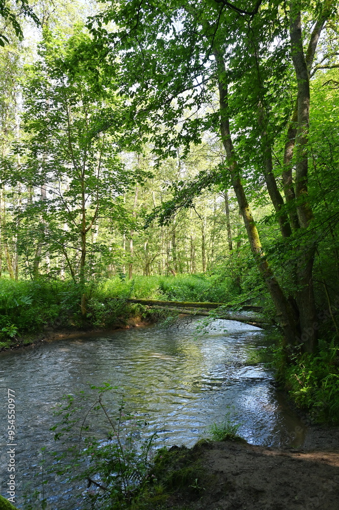Gelbach bei Montabaur Gelbach bei Montabaur