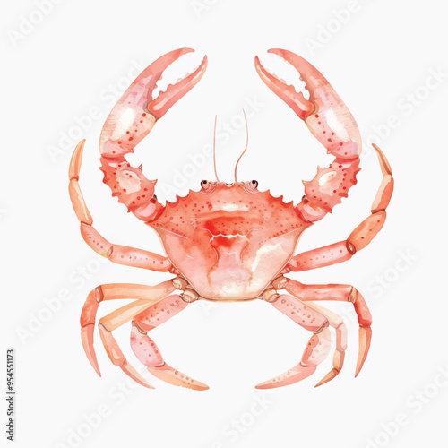 Vibrant watercolor crab illustration