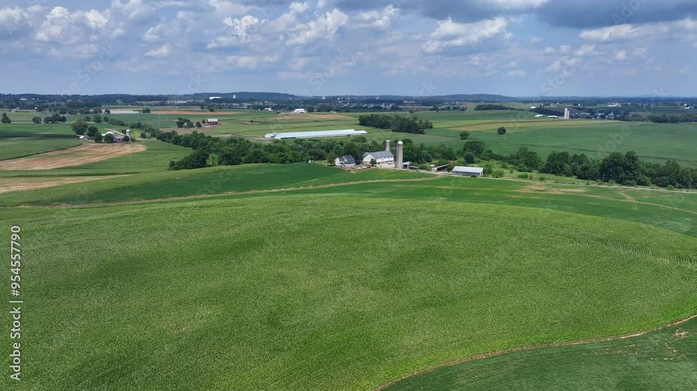 Aerial approaching shot of green agricultural fields with farm house. Rural countryside in USA with silo storage. Clouds at sky in summer. Growing cultivation on field. Wide shot. Aerial approaching shot of green agricultural fields with farm house. Rural countryside in USA with silo storage. Clouds at sky in summer. Growing cultivation on field. Wide shot.