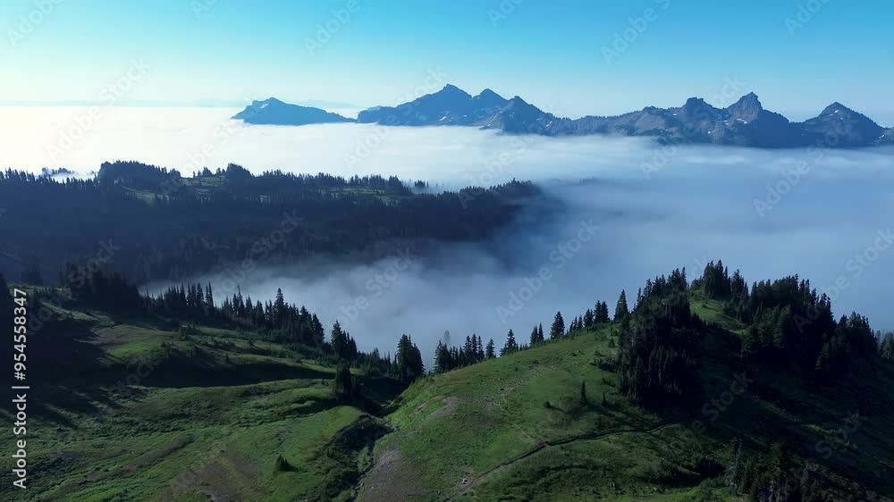Drone aerial of pine tree forest mountain peaks summit range with fog haze low clouds in Mount Rainier national park Seattle Washington USA America camping wilderness travel Drone aerial of pine tree forest mountain peaks summit range with fog haze low clouds in Mount Rainier national park Seattle Washington USA America camping wilderness travel
