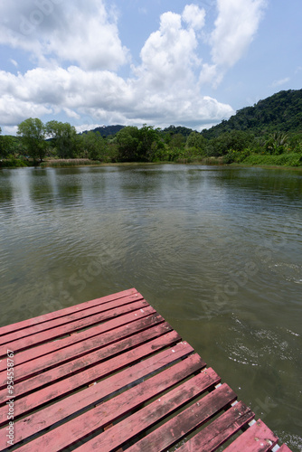 Mangrove forest board walks and raised walk areas keeping people off the swamp areas protecting animal habitat and ecology