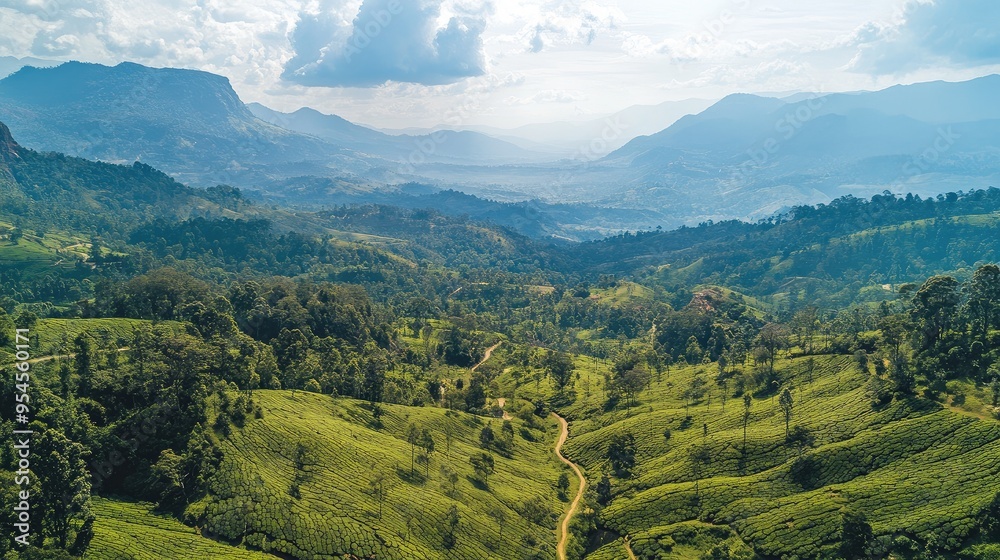 Fototapeta premium Aerial view of the scenic valley and tea terraces around Seat in Haputale, with panoramic mountain views