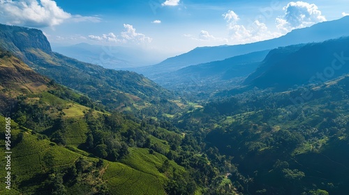 Aerial view of the scenic valley and tea terraces around Seat in Haputale, with panoramic mountain views