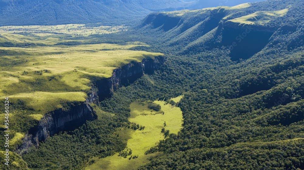 Aerial view of the stunning Horton Plains, with rolling grasslands, dense forests, and dramatic cliffs Aerial view of the stunning Horton Plains, with rolling grasslands, dense forests, and dramatic cliffs