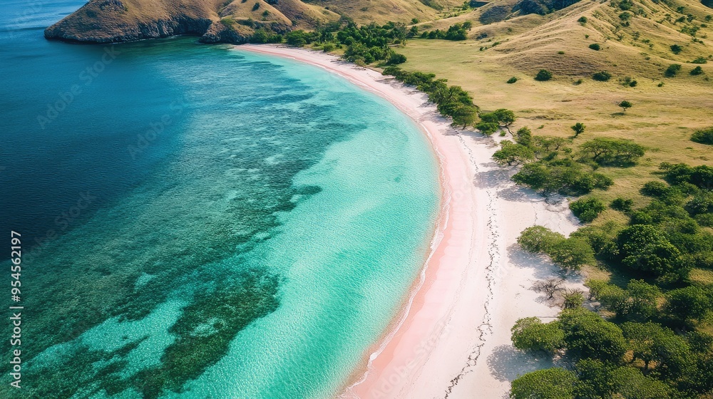 Obraz premium Bird's-eye view of the emerald waters and white sandy shores of Pink Beach in Komodo Island