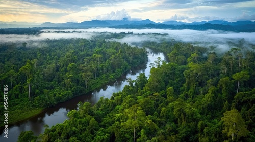 Top view of the lush jungles and river systems of Kutai National Park in East Kalimantan photo