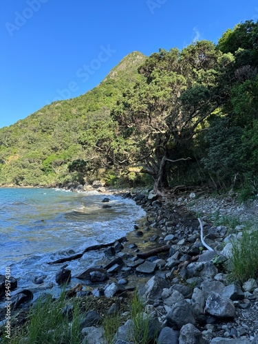 river and rocks