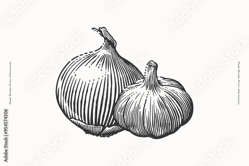 A hand-drawn black and white illustration featuring an onion and a garlic bulb side by side, showcasing detailed line art with a vintage aesthetic. Ideal for culinary and botanical projects.