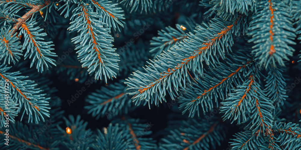Macro texture Christmas Fir tree branches textured Background. Fluffy pine tree spruce brunch close up. Background template for greeting card and banner Macro texture Christmas Fir tree branches textured Background. Fluffy pine tree spruce brunch close up. Background template for greeting card and banner