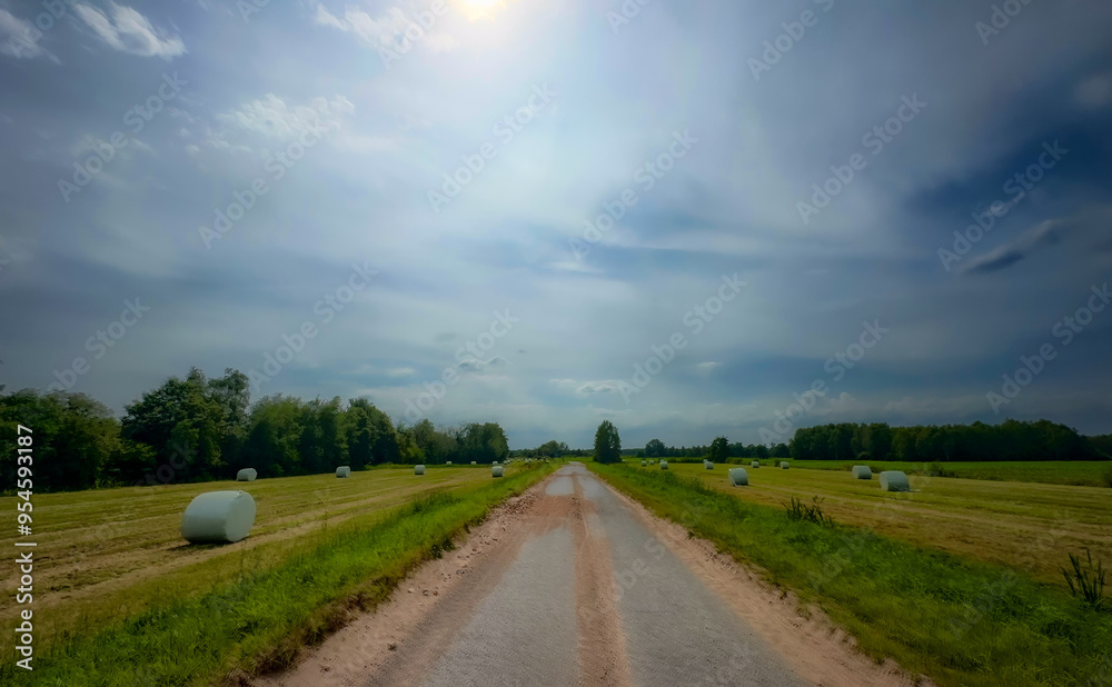 Fototapeta premium A picturesque and charming rural road adorned with lush fields and hay bales beneath an enchanting sky