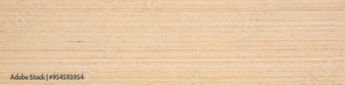 Smooth landscape of creamy beige and vanilla hues stretching across the fine-grained surface of this maple wood veneer