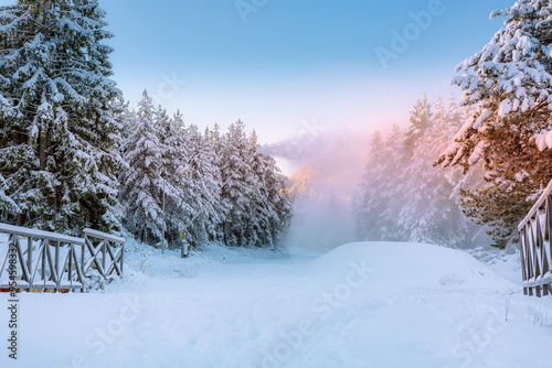 Bansko, Bulgaria resort panorama with snow cannon photo