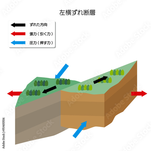 地震のメカニズム　左横ずれ断層