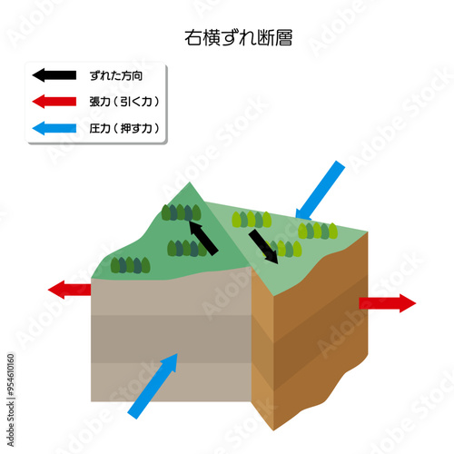 地震のメカニズム　右横ずれ断層