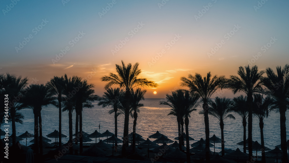 landscape dawn palm trees and a beach with umbrellas in Egypt in Sharm El Sheikh landscape dawn palm trees and a beach with umbrellas in Egypt in Sharm El Sheikh