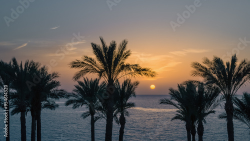 silhouette of palm trees against the dawn sky and blue sea photo