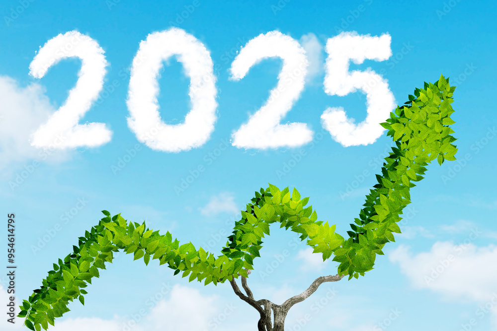 Obraz premium Year 2025 word made of clouds on blue sky background