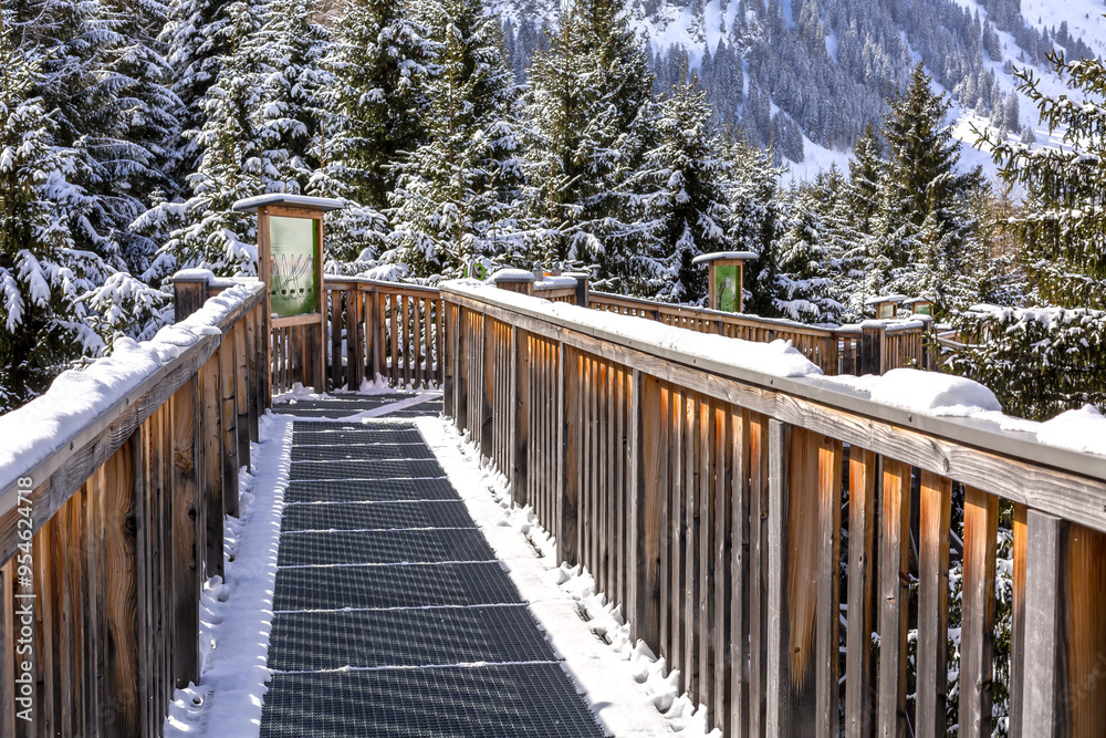 Baumzipfelweg park, Saalbach Hinterglemm, Austria Baumzipfelweg park, Saalbach Hinterglemm, Austria