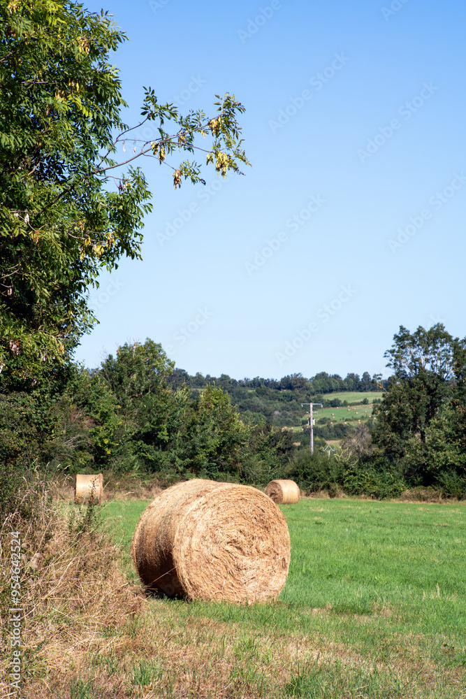 un paysage dans le sud du Berry avec des meules de foin dans une prairie avec des arbres et un ciel bleu en France un paysage dans le sud du Berry avec des meules de foin dans une prairie avec des arbres et un ciel bleu en France