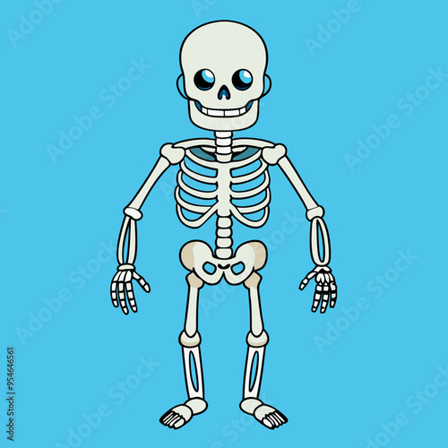 skull pirate skeleton vector illustration