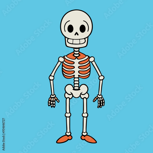 skull pirate skeleton vector illustration