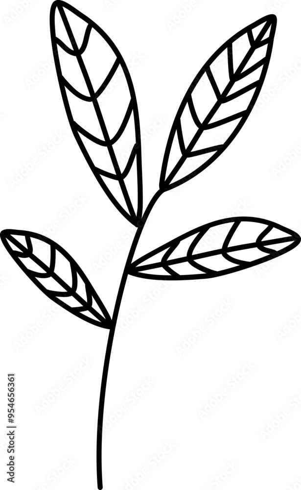 Floral Leaf Line Art Floral Leaf Line Art