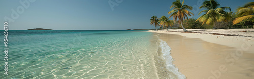 Tropical Beach Paradise with Crystal Clear Water and Palm Trees Under a Bright Blue Sky photo