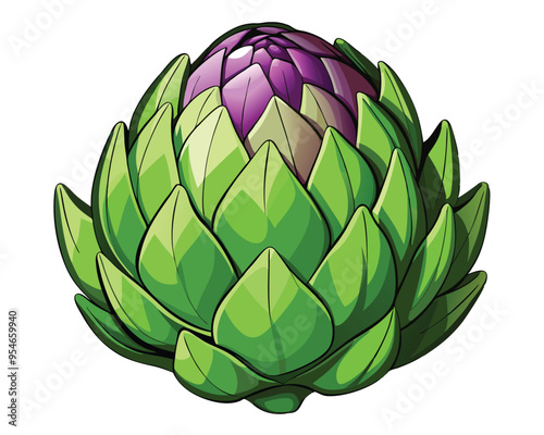 Artichoke vector illustration on white background