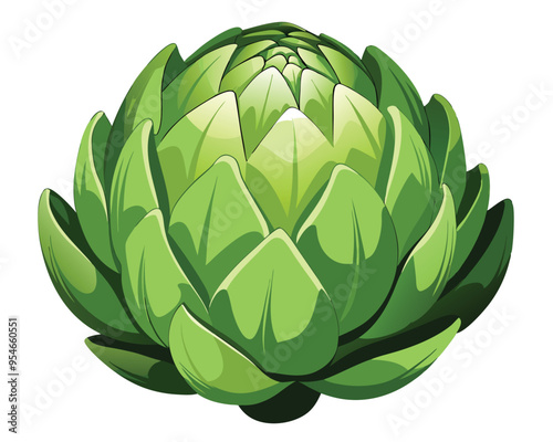 Artichoke vector illustration on white background